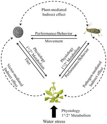 Plant-Vector-Pathogen Interactions in the Context of Drought Stress